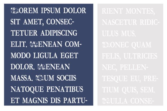 Rose Monogram Banner Font preview 3