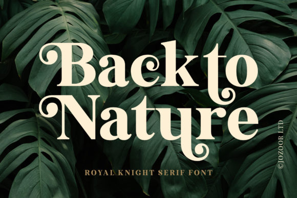 Royal Knight Font preview 2