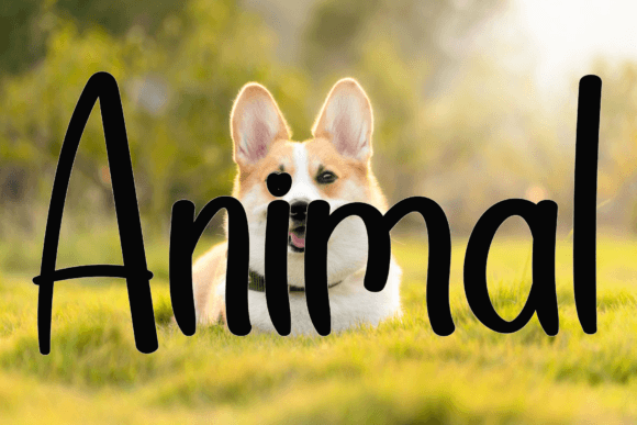 Rustic Handmade Font preview 4