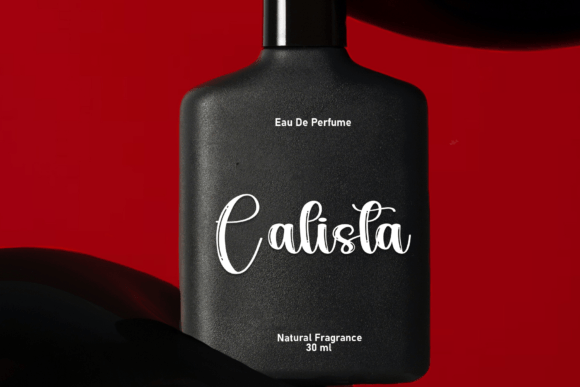 Rustic Signature Font preview 2