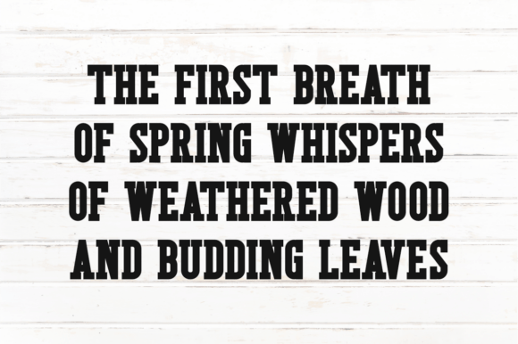Rustic Spring Font preview 2