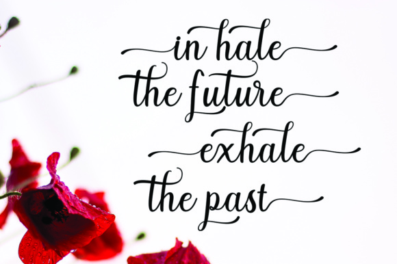 Sabrina Script Font preview 3