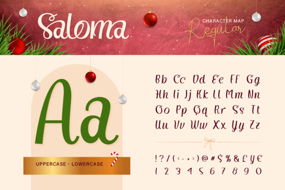 Saloma Signature Font preview 2
