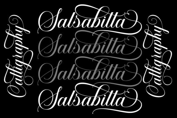 Salsabilla Calligraphy Font preview 3