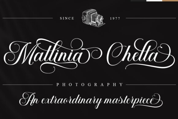 Salsabilla Calligraphy Font preview 4