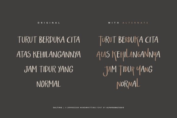Salting Font preview 4
