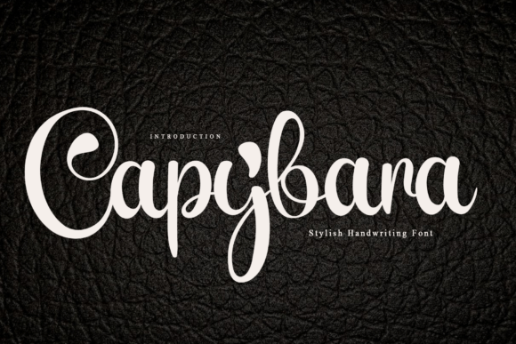 Capybara Font Capybara Font