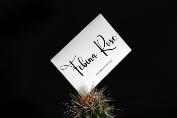 Santhing Font preview 3