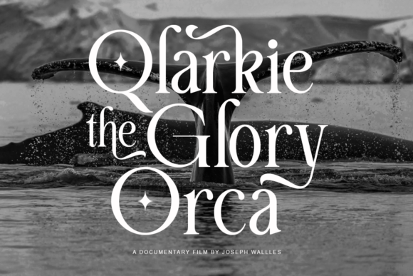 Carely Orches Font preview 2