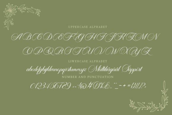 Carista Calligraphy Font preview 2