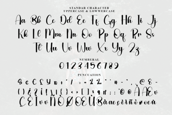 Sibling Font preview 4