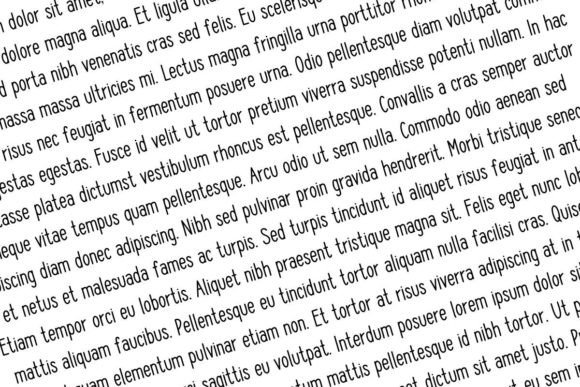 Silly Goose Font preview 2