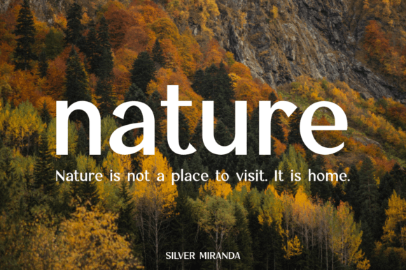 Silver Miranda Font preview 4