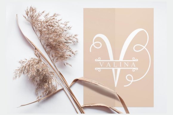 Alina Monogram Font Font preview 4