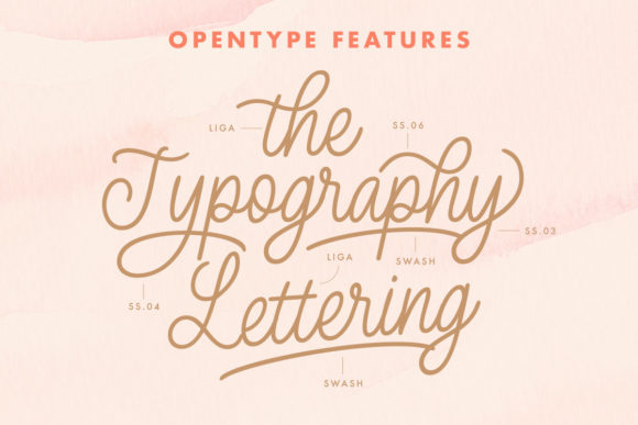 Bashiton Monoline Font preview 3