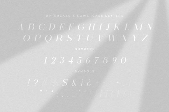 Skyline Italic Font preview 2