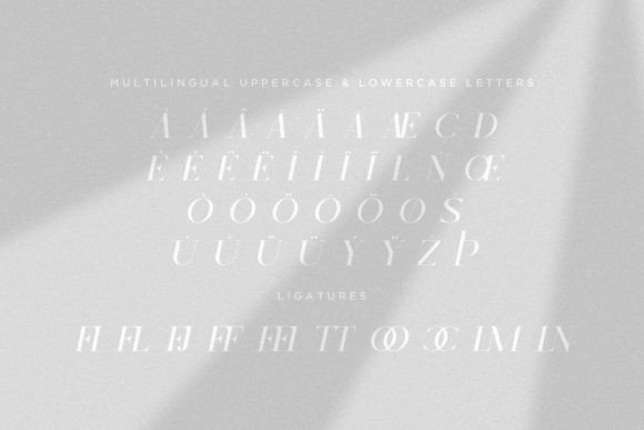 Skyline Italic Font preview 3