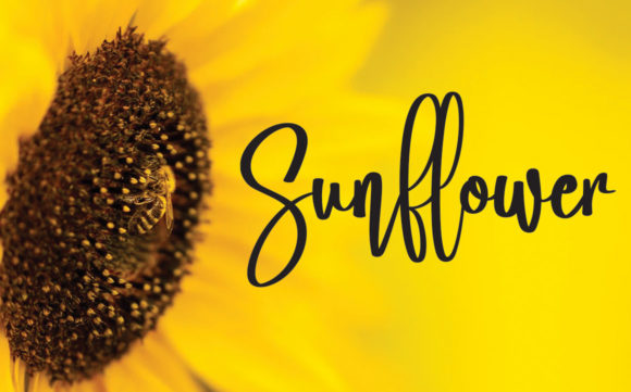 Smithson Font preview 2