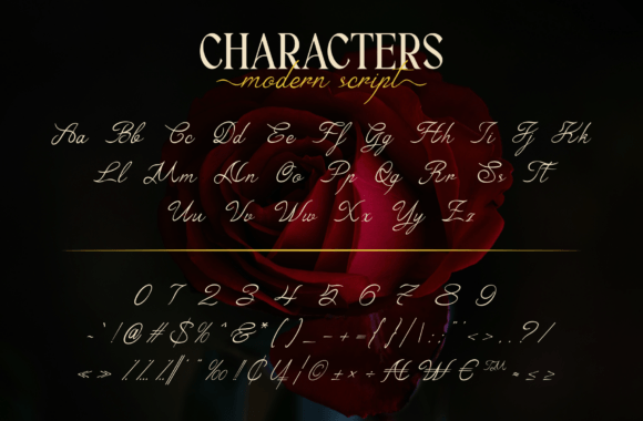 Sofila Font preview 4