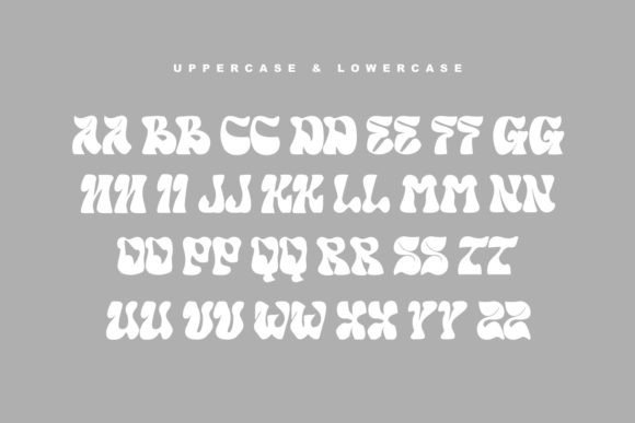 Soefi Neon Font preview 4
