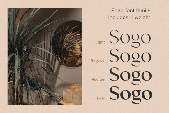 Sogo Font preview 3