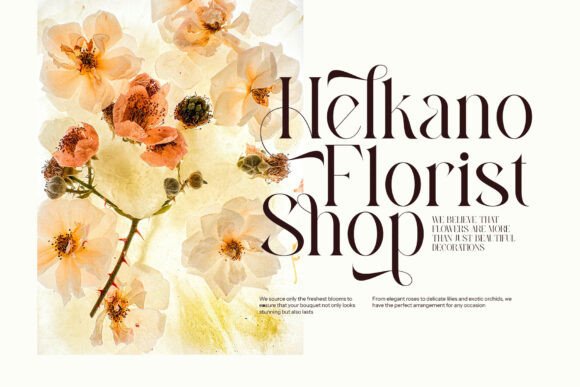 Alissan Font preview 3