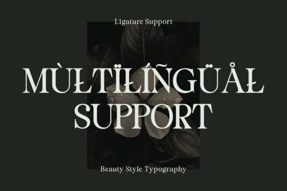 Staller Font preview 4