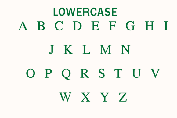 Beach Turtle Font preview 3