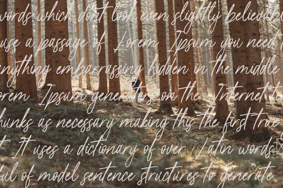 Stylish Fashion Font preview 4