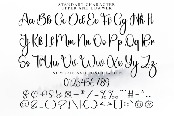 Stylish Handwritten Font preview 4