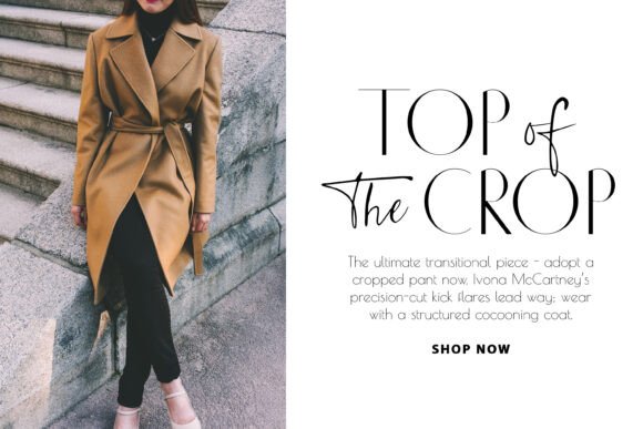 C'est Chic Font preview 4