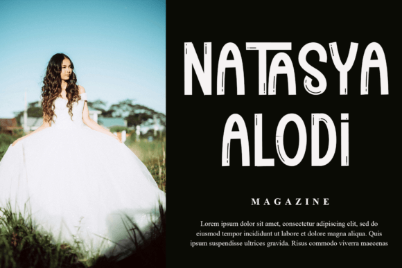 Stylish Vintage Font preview 2