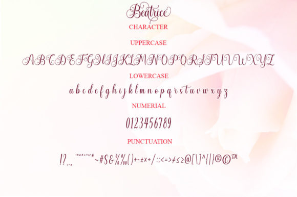 Beatrice Font preview 4