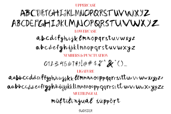 Sudsier Font preview 3