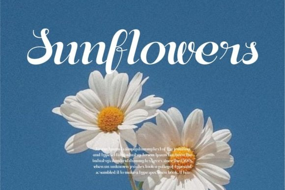 Aesthetica Font preview 3
