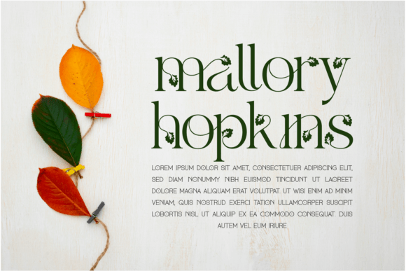 Alketa Nature Font preview 2