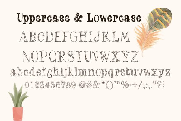 Amelia Font preview 4