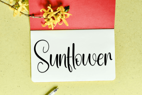 Amsterdam Font preview 4