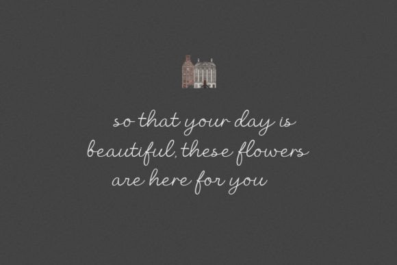 Beauty Story Font preview 4