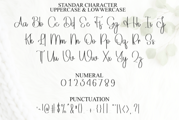 Autography Font preview 3