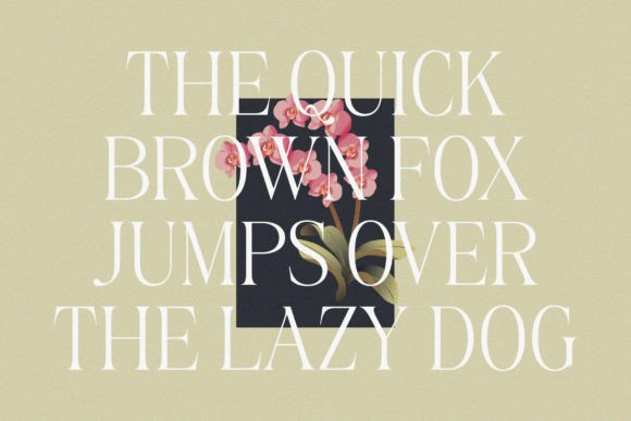 Belinda Avenue Font preview 4