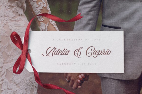 Bella Elegante Font preview 2