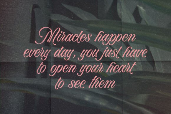 Bella Elegante Font preview 3