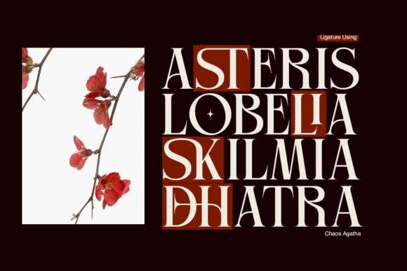 Chaos Agatha Font preview 4