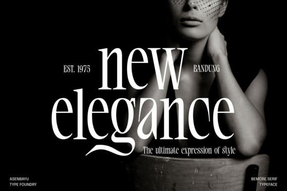 Bemore Serif Font preview 3