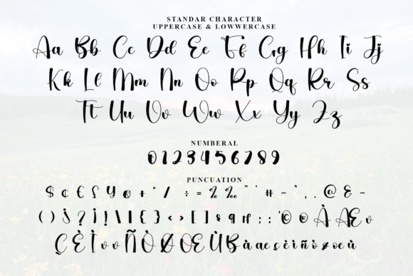 Beautiful Font preview 4