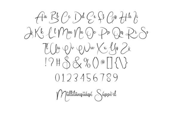 Berkleigh Font preview 3
