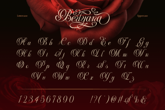 Berlyana Sensual Font preview 4