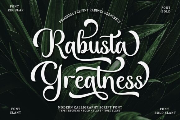 Best Script Collection Font preview 4