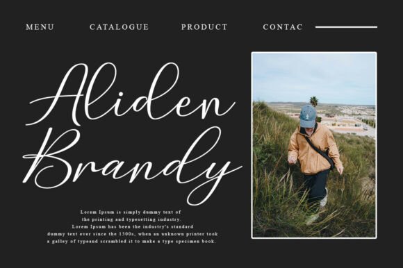 Birthday Signature Font preview 4